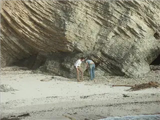 small_040521 caPICT5004.webp